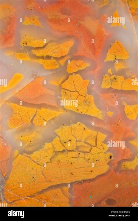 Agate lapidary slab hi-res stock photography and images - Alamy