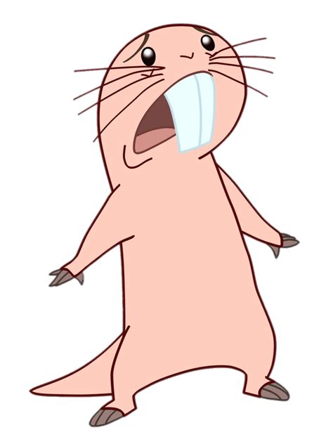 Kim Possible Rufus Frigthened Transparent Png Stickpn - vrogue.co