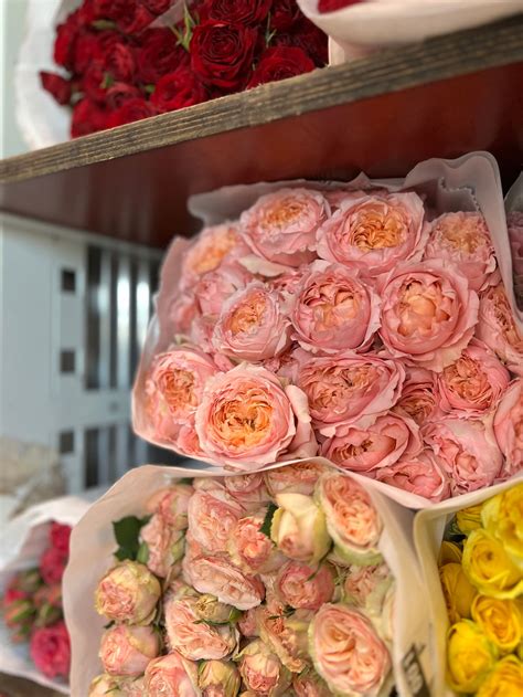 Rosa: tutti i segreti sul fiore dell'amore, per sorprendere a San