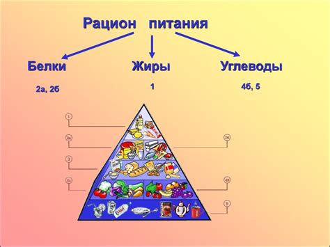 Жиры, их строение и свойства - презентация онлайн