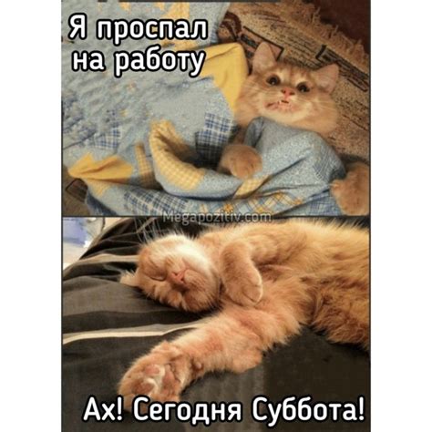 Открытки с добрым утром суббота ⋆ Мегапозитив