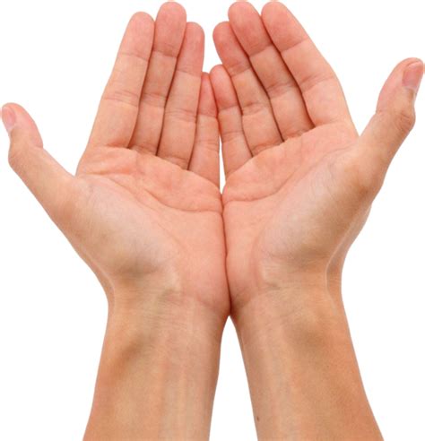 Download Open Hand Png - Open Hands Png, Transparent Png - vhv