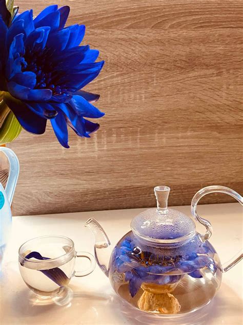 Why Making Blue Lotus Tea? The Psychoactive Effects And Remedy » Joyful