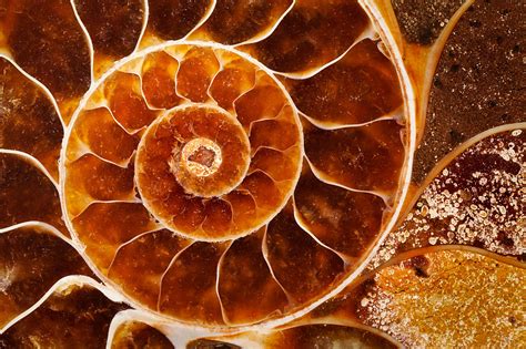 Pin on Rocks, Gemstones, & Fossils
