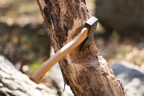 The Humility of the Axe | Tomorrows Reflection