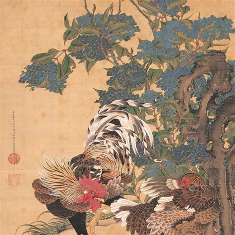 Itō Jakuchū - Detailed Drawings