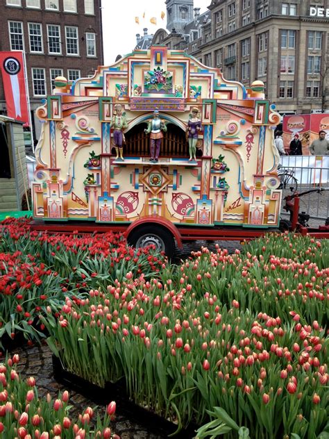 When In Amsterdam...: Amsterdam's Tulip Day