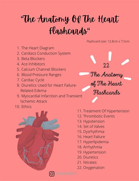 The anatomy of the heart flashcards study notes nurses