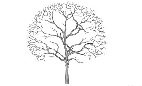 Beautiful tree elevation 2d block drawing details dwg file - Cadbull