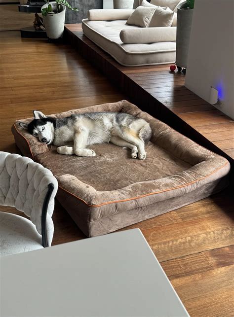 Adhara Hincapie's Amazon Page