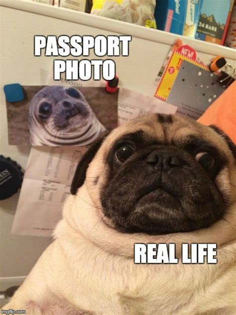 45 Funny Travel Memes We Needed This Year | Far & Wide