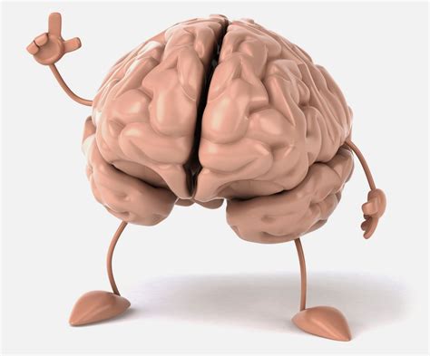 Small Brain Vs Big Brain