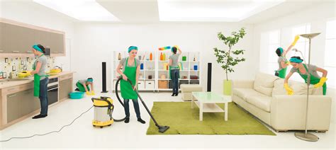 Domestic/Home Services - Homeclean