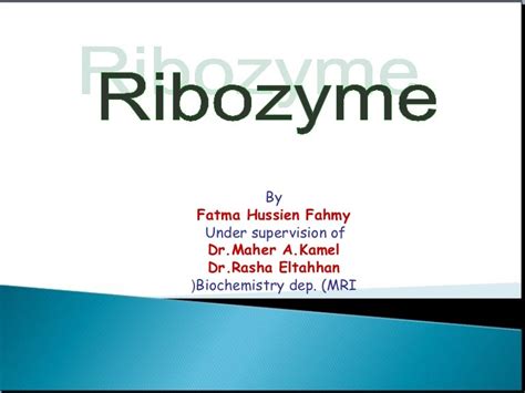 Ribozyme