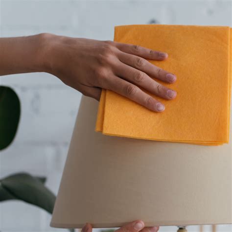 Wipe With A Damp Cloth | Mondoro