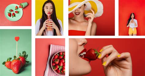 4 Free Photography Templates - The Noun Project Blog