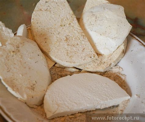 Гриб дождевик | fotorecept.ru