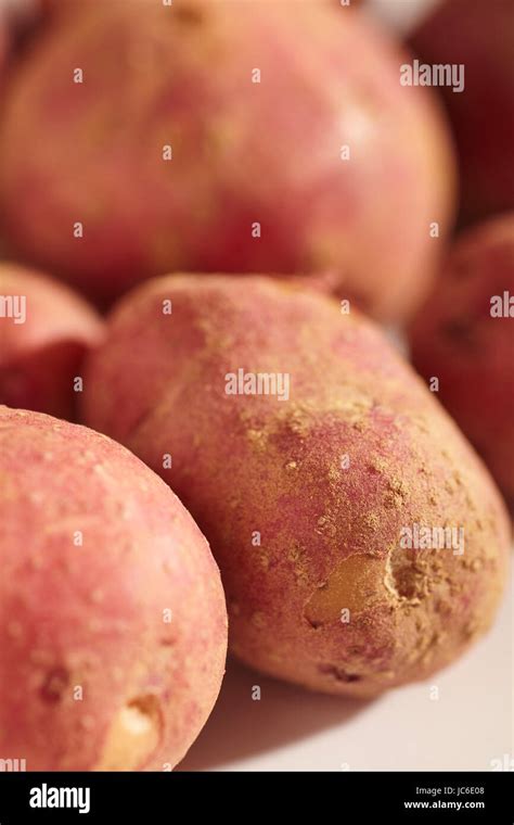 Baby rote kartoffel -Fotos und -Bildmaterial in hoher Auflösung – Alamy