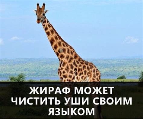 Удивительные факты от Круэлла за 16 февраля 2015 на Fishki.net