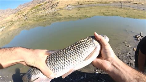 Первый Спиннинговый Турнир в Армении / The First Lure Fishing ...