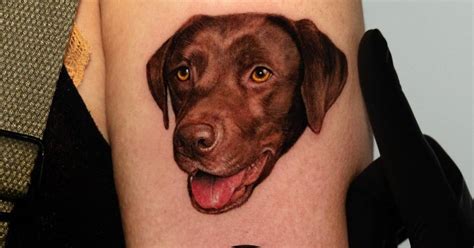 Labrador portrait tattoo located on the upper arm.