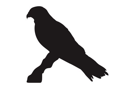 Animal - Perched Eagle Silhouette 23258096 PNG