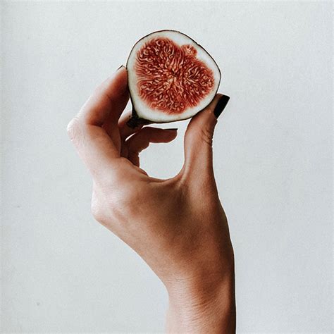 figues comment les cultiver  quels soins leur prodiguer