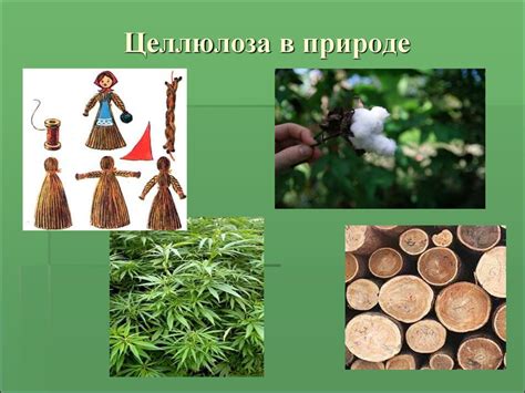 Полисахариды. Крахмал. Целлюлоза - презентация онлайн