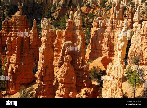Scenic view "hoodoos" in Bryce Canyon from Fairyland Loop trail, Utah ...