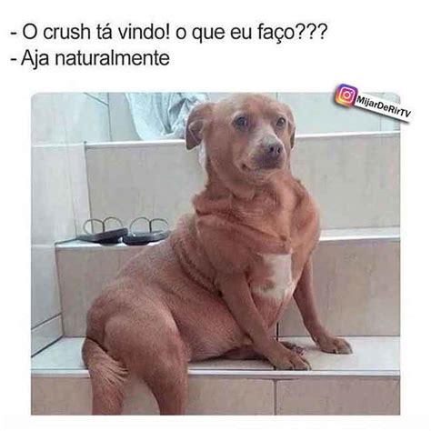 Meme Mais Engraçado Do Mundo