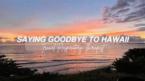 Anonib Hawaii: Is It as Good as Everyone Says? - f9txtrb
