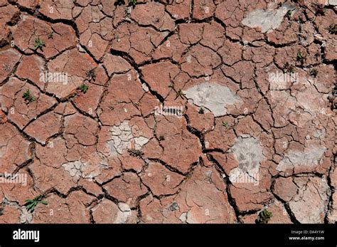 land dry desert drought cracked stock photo alamy