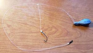 How to Catch Trophy Blackfish (Tautog) - Thrillfishing.com