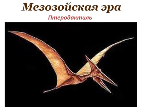 Этапы развития жизни на земле - презентация онлайн