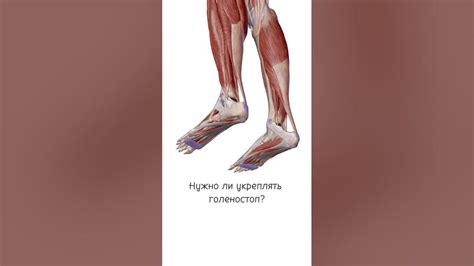 Нужно ли укреплять голеностоп? #fitness#stretching#yoga#растяжка# ...