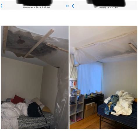 Shithead landlords made me empty draining water from an open hole over