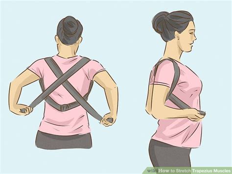How to Stretch Trapezius Muscles: 13 Steps (with Pictures)