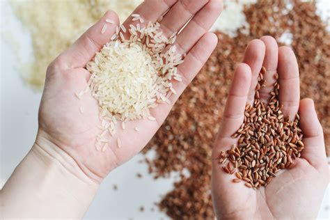 5 Perbedaan Beras Merah dan Beras Putih pada Kandungan dan Manfaatnya