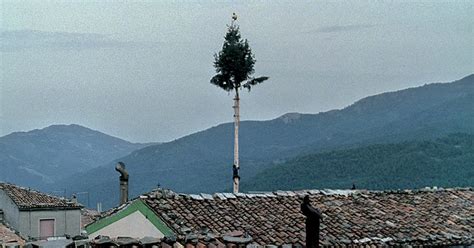Michelangelo Frammartino: Le Quattro Volte | The Culturium