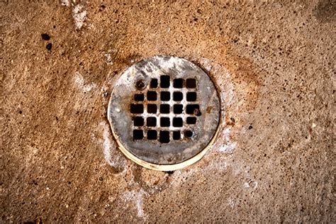 basement floor drain types flooring guide  cinvex