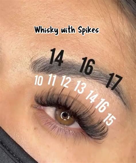 top lash cluster map small med large ideas