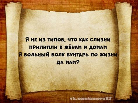 Смешные и прикольные стишки-порошки