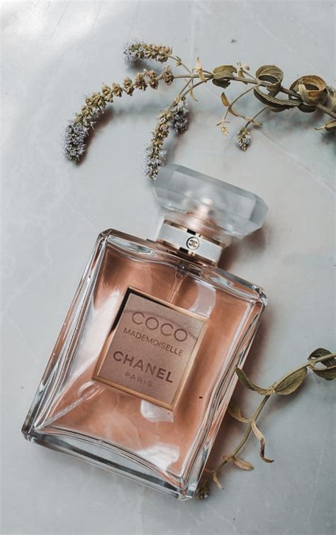 15 Best Floral Fruity Perfumes perfect for summer - miss mv