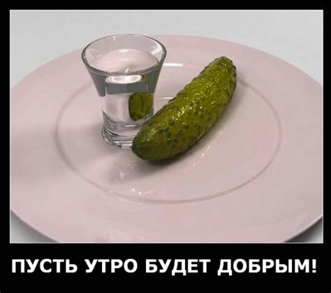 Прикольные открытки Похмелье