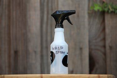 Homemade Wasp Spray | Hunker