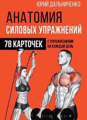 Анатомия силовых упражнений (Юрий Дальниченко) – скачать книгу бесплатно