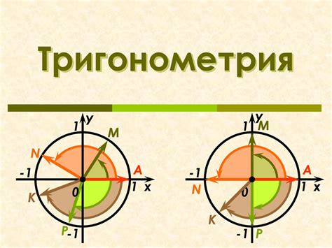 Тригонометрия. Единичная окружность. Определение синуса и косинуса угла ...