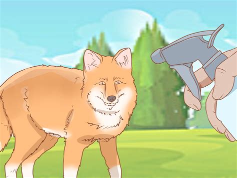 How to Tame a Fox