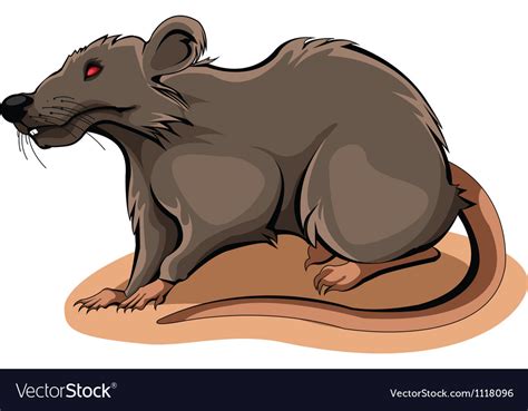 Rat Royalty Free Vector Image - VectorStock