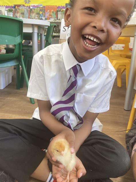 HPA Philip Lane on Twitter: "Our new reception class mates are